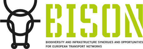 BISON